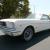  Ford Mustang 1966 2D Hardtop 3 SP Automatic 4 7L Carb in Melbourne, VIC 