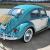 Beautiful California Beetle - Classic