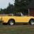 Alpine Sunbeam Tiger Mk1A Convertible Ford Shelby Roll Bar Race Car 1 OF A KIND