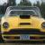 Alpine Sunbeam Tiger Mk1A Convertible Ford Shelby Roll Bar Race Car 1 OF A KIND