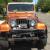 CHERRY 1978 CJ-7 GOLDEN EAGLE WITH FACTORY CROME AND AMC WINCH AUTOMATIC 304