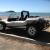  VW MAX FX Buggy 