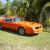  1976 Pontiac Firbird Trans AM Camaro Corvette Buyers Look in Austinville, QLD 