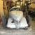  Riley 9 1960s racer Cris winder built owned by roger Mortimer barn find 