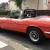  TRIUMPH STAG RED OUTSTANDING 