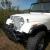 1975 Jeep CJ5 Custom Build, 330HP V8, Matkins Boxed Frame, Kevlar Body