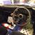  1983 FORD ESCORT MK2 2-DOOR SALOON NON-SUNROOF PROJECT RESTORATION BARN FIND 