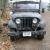 1960 Willys Jeep CJ5 Base 2.2L