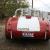 Austin Healey Rare 2 seater 100 6 Race Car