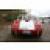 Austin Healey Rare 2 seater 100 6 Race Car