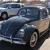 1958 Classic Beetle!