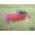 Chrysler : New Yorker convertible