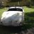 1954 Austin Healey 100 4 'Shed Find' in Perth, WA