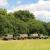 Pinzgauer 712M Swiss Army Military All Terrain Vehicle