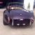 Shelby roadster ,classic roadster ,cobra