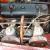 1954 Austin Healey BN1 100-M Right Hand Drive! Rare, Unrestored Condition!
