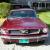 1966 Ford Mustang Coupe - Unrestored Low Miles California Black Plate