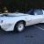 1981 Trans Am Nascar Daytona Pace Car