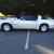 1981 Trans Am Nascar Daytona Pace Car