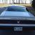 1981 Trans Am Nascar Daytona Pace Car