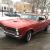 1965 Pontiac GTO Real GTO 4 Speed Harptop Beautiful! Fresh 489 hp 428 Engine!