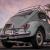 1965 Volkswagen Beetle VW California Bug Restored
