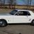 1966 MUSTANG - FULLY RESTORED - DAILY DRIVER - 5.0 V8 w/ A/C! NO RESERVE AUCTION
