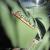 Original Paint California Rust Free RARE Survivor 60 62 63 64 GMC Blazer CST 4WD