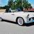Simply beautiful loaded 1955 Ford Thunderbird Convertible p.s,p.b,p.w,drives new