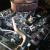 1970 CHEVELLE SS ZZ502 BBC TREMEC 5 SPD Transmission PRO TOURING