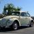 Beautifully Restored Cream White Classic Volkswagen Bug