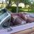Buick Invicta Convertible  ground up retoration!