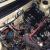 triumph acclaim