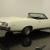 Pontiac : GTO GTO H.O. Convertible