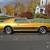 Ford : Mustang 351