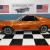 AMC : Other AMX