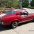 Ford : Mustang Shelby GT350 Clone