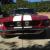 Ford : Mustang Shelby GT350 Clone