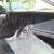 Chevrolet : Corvette Base Hatchback 2-Door