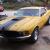1970 FORD MUSTANG 302/V8 AUTO MACH 1 STYLE FASTBACK !