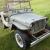 ford gpw jeep 1942 scripted body
