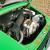 1972 Porsche 911T Coupe w/ Factory A/C - Viper Green, Fuchs Wheels, 2.4L, & More
