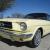 1964 1/2 Ford Mustang Auto     "SHOW CAR"