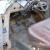  1956 Chevrolet stepside pickup truck Taxed UK reg runs drives well or V8 hotrod 
