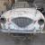 Austin Healey 100-4