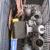 Austin Healey 100-4
