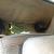 1985 TOYOTA 4x4 DIESEL TRUCK, EXTRA CAB, PWR STEERING, ORIGINAL, LOOOOK