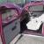 CLASSIC VOLKSWAGEN BEETLE CUSTOM EX SHOW CAR 1641 ENGINE