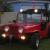 VW DUNE BUGGY VEEP JEEP VEEPSTER SCAMP GPV WILLY BEETLE CLASSIC OFF ROAD