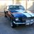 1966 Mustang Fastback 2+2 GT350 Shelby Restored Midnight Blue Recreation